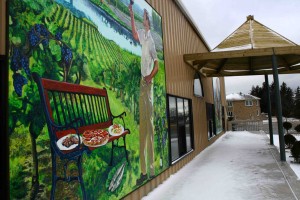 Winery; Barrel and Vineyard, Sarah Collard